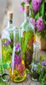 Prevalence and Related Factors to Herbal Medicines Use among Pregnant Females